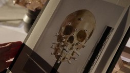 Episodul 17