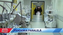 România, te iubesc! - 11 Aprilie 2021