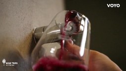 Wine Trips Romania S4E7 – Domeniul Bogdan