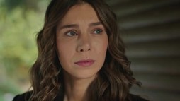 Episodul 38