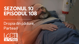 Episodul 108 - Dropia din pădure, Partea II