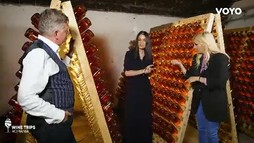 Wine Trips Romania S4E8 – Pivnițele Rhein