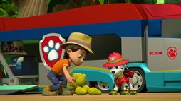 Episodul 10