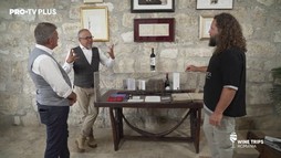 Wine Trips Romania – Ep.9 Povestea Cramei Tohani
