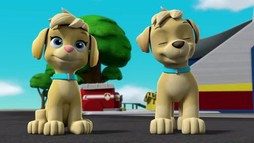 Episodul 12