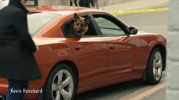 Episodul 13