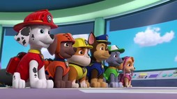 Episodul 23