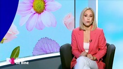Ediția 17