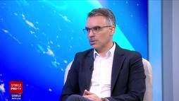 Interviu Remus Ștefureac