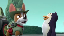 Episodul 22