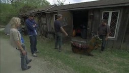 Episodul 14