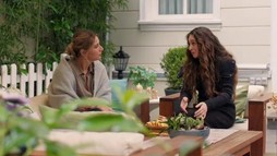Episodul 29