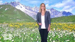 Episodul 20