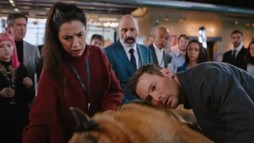 Episodul 11