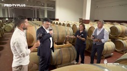 Wine Trips Romania – Ep.8 Povestea Cramei The Iconic Estate