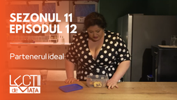 Episodul 12 - Partenerul ideal