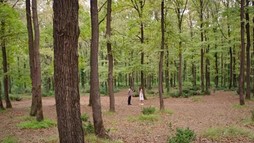 Episodul 3