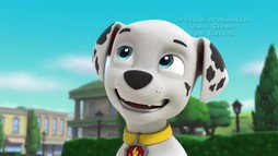 Episodul 21