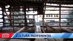 Cultura indiferenței