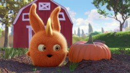 Episodul 11
