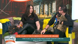19 Noiembrie 2020