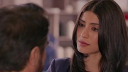 Episodul 35