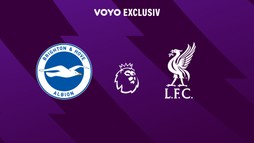 Brighton - Liverpool