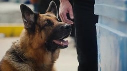 Episodul 1