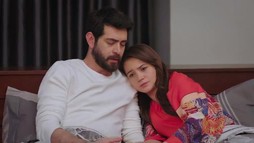 Episodul 230