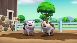 Episodul 16