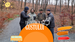 Cund - Transilvania