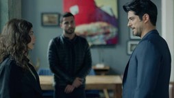 Episodul 228