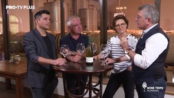 Wine Trips Romania – Ep.2 Povestea Cramei Serve