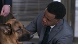 Episodul 11