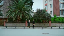 Episodul 146