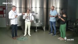 Wine Trips România S3E3 | Vin, soare si muzica frumoasa alaturi de Nicolae Botgros la Crama Asconi