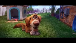 Charlie, câinele minune