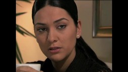 Episodul 13