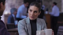 Episodul 22