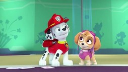 Episodul 6