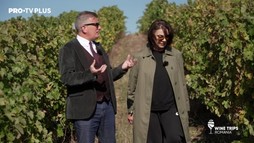 Wine Trips România S2E8 | Carmen Tănase, pe urmele vinului alb realizat din struguri roșii la Vinarte