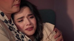 Episodul 16