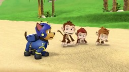 Episodul 5