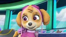 Episodul 19