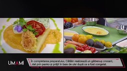 Ediția 14
