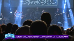 26 februarie 2019
