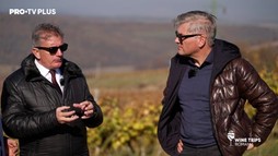 Wine Trips România S2E9 | Mircea Radu a aflat secretul vinurilor albe și rose ale Cramei Jidvei