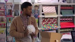Episodul 8