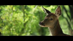 Bambi