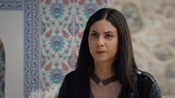 Episodul 206